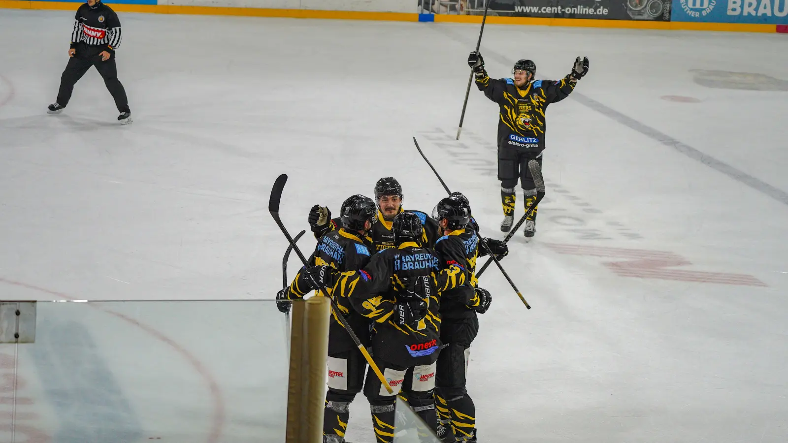 onesto Tigers - Deggendorf 01 (Foto: sd)