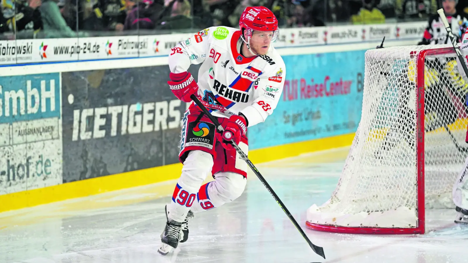 Viel Erfahrung bringt Jan Hammerbauer mit, der früher unter anderem in Selb und in der vergangenen Saison beim Bayreuther Ligarivalen Passau Black Hawks aktiv war.  (Foto: Karo Vögel )