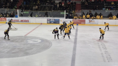 Eine kämpferisch aufopferungsvolle Leistung zeigten die Tigers beim Sieg gegen die Stuttgart Rebels. (Foto: Denise Preis)