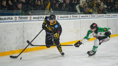 onesto Tigers - Höchstadt Alligators 01 (Foto: sd)