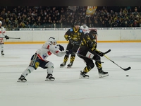 onesto Tigers - Heilbronner Falken 02 (Foto: sd)