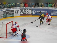 onesto Tigers - Deggendorf 02 (Foto: sd)