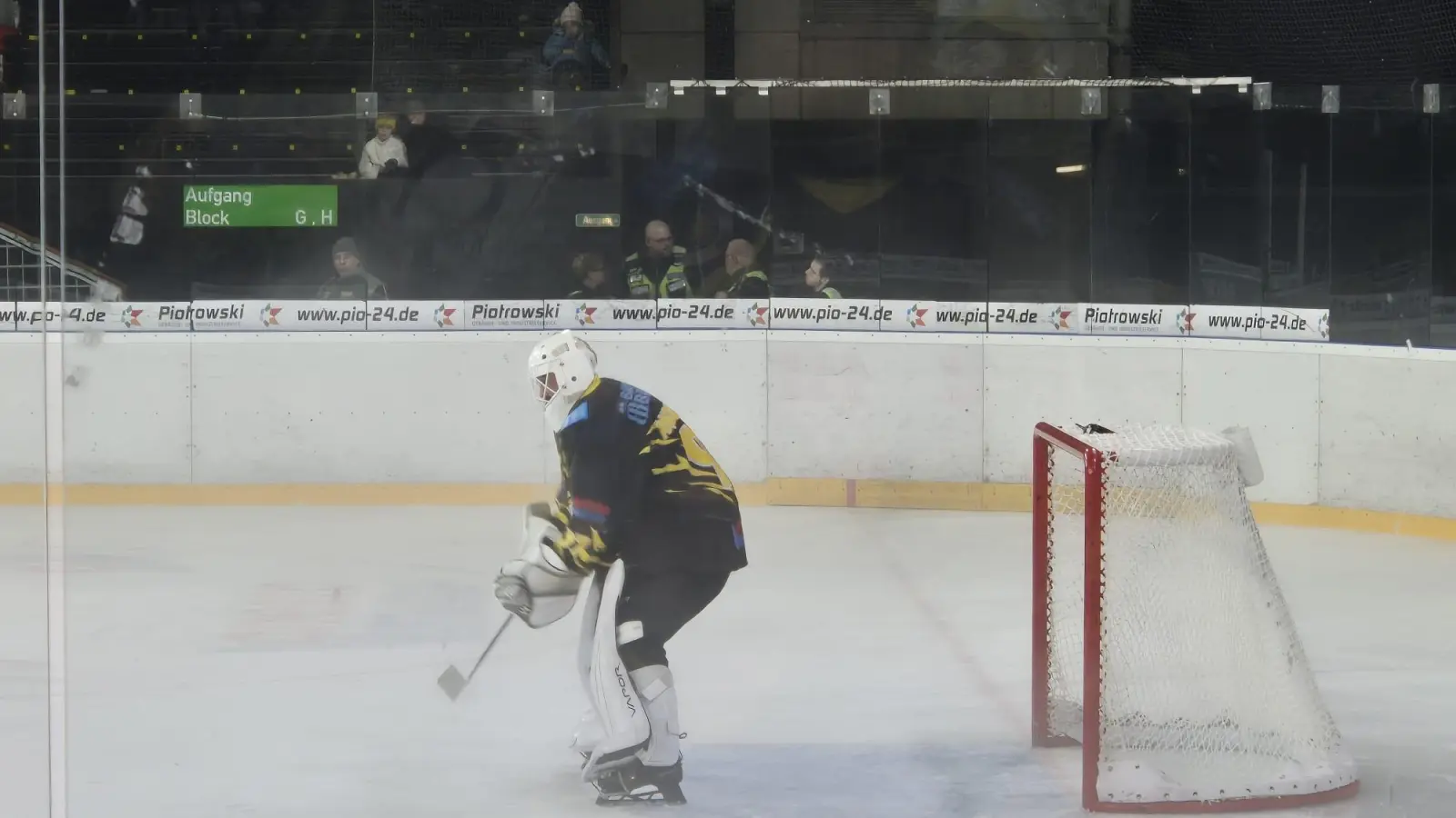 Nach seiner Pause am Freitag kehrte Stammgoalie Ilya Andryukhov heute im Auswärtsspiel bei den Stuttgart Rebels in den Kasten der onesto Tigers zurück. (Foto: Archiv/Denise Preis)