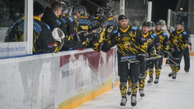 onesto Tigers Bayreuth - Bietigheim Steelers 01 (Foto: sd)