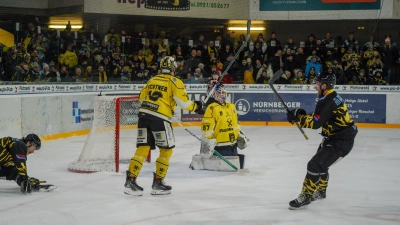 onesto Tigers Bayreuth - Tölzer Löwen 01 (Foto: sd)