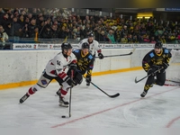 onesto Tigers Bayreuth - EHF Passau Black Hawks 03 (Foto: sd)