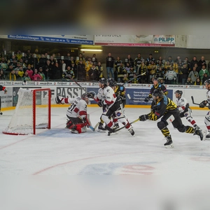 onesto Tigers Bayreuth - EHF Passau Black Hawks 01 (Foto: sd)