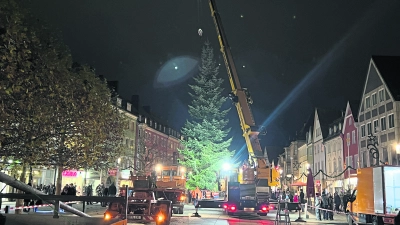 Inzwischen zwar fest verankert, aber immer noch ohne Licht. Erst am Eröffnungstag am Montag, 25. November, des Christkindlesmarktes wird der Weihnachtsbaum erstrahlen.  (Foto: ma)