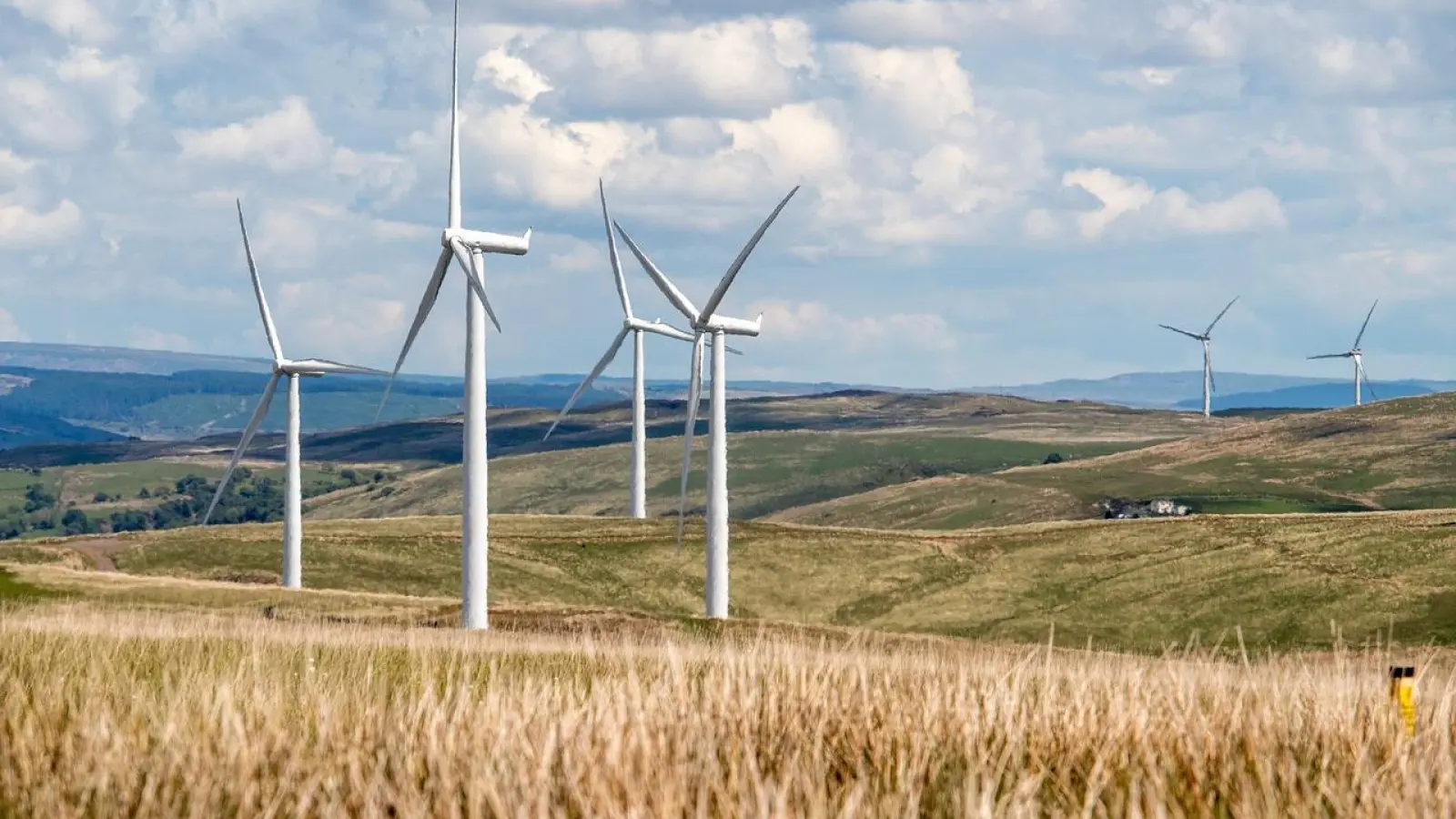 Die Energiewende ist ein entscheidender Hebel auf dem Weg zur Klimaneutralität. Bei der Umsetzung gibt es aber durchaus noch Herausforderungen.  (Foto: Pixabay)