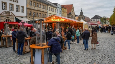 Der Martinimarkt auf dem Bayreuther Marktplatz zog auch in diesem Jahr wieder viele Besucher an.  (Foto: sd)