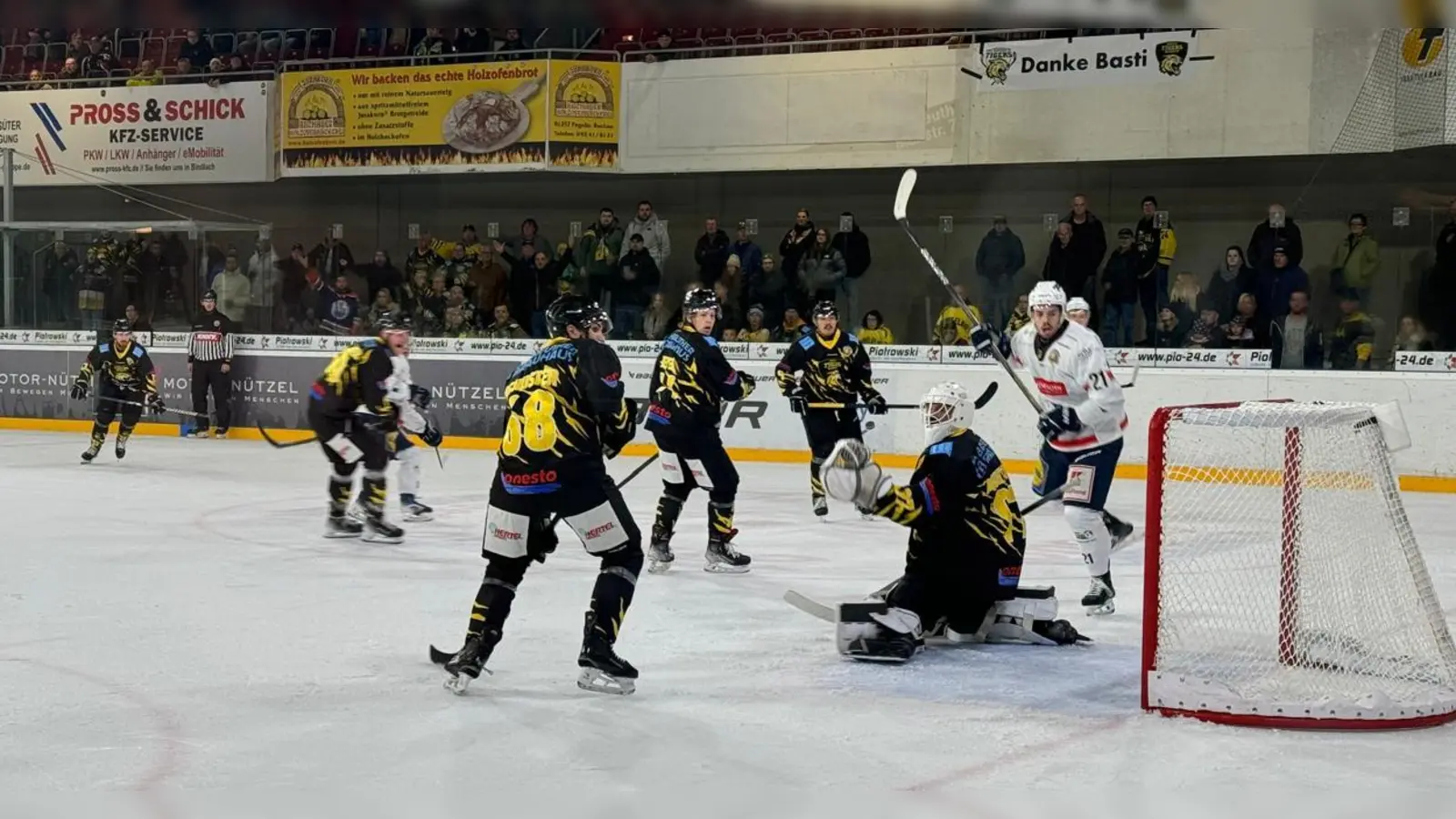 Einen harten Kampf sahen die Fans zwischen den onesto Tigers und den Heilbronner Falken. (Foto: sd)