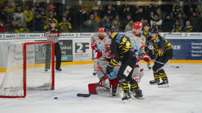 Mit 4:3 besiegten die onesto Tigers den EC Peiting. (Foto: sd)