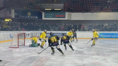 Einen engen Kampf lieferten sich die onesto Tigers und die Tölzer Löwen heute Abend.  (Foto: sd)