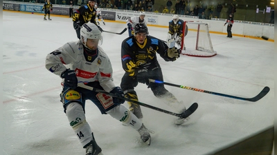 Eine 2:7-Niederlage mussten die onesto Tigers in Heilbronn hinnehmen. (Foto: Archiv/sd)