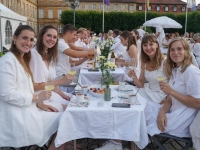 Das Diner en blanc lockte auch in diesem Jahr wieder viele Teilnehmer an.  (Foto: sd)