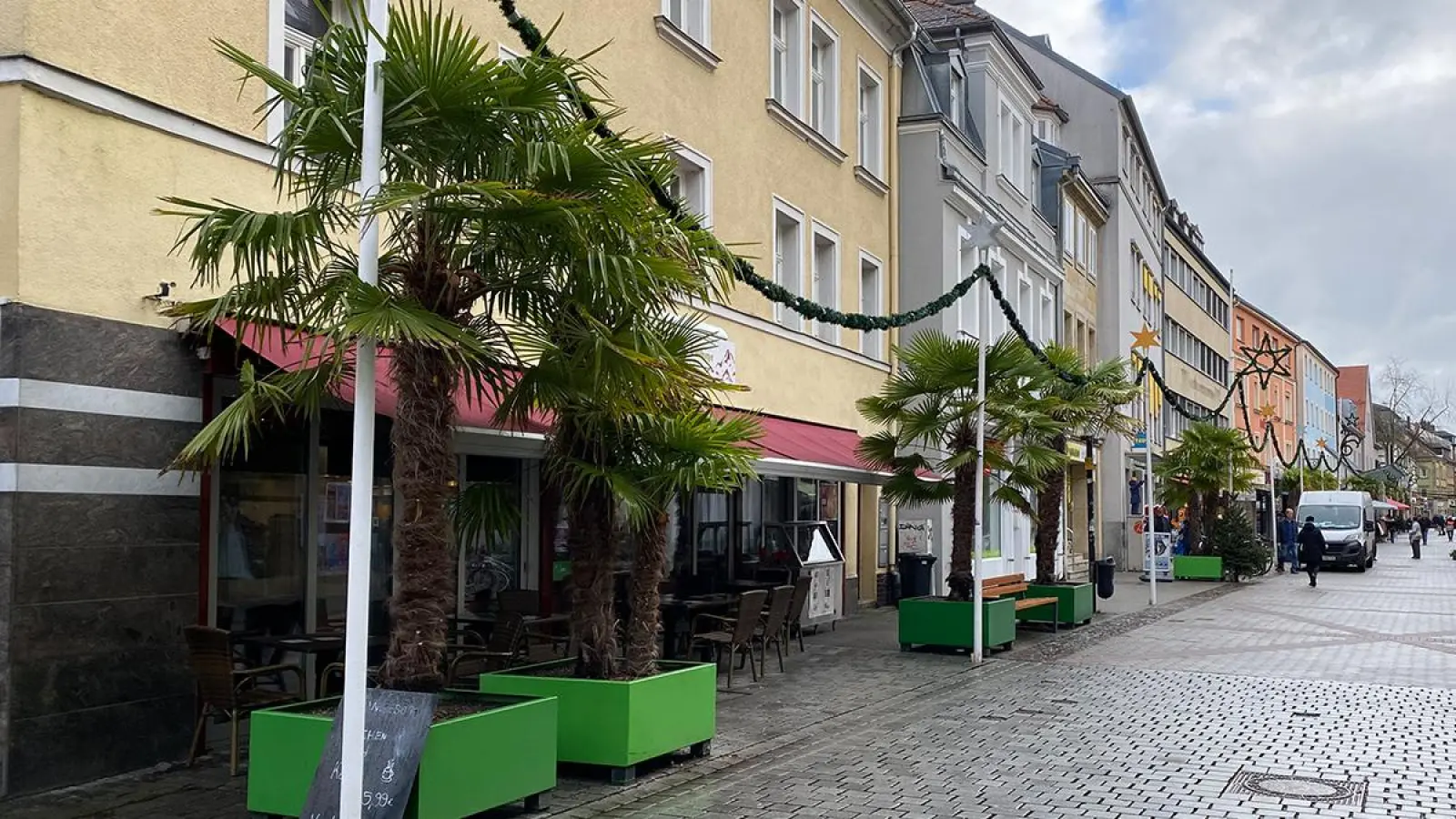 Die Palmen bleiben draußen - und stehen unter der Lichterkette und neben Weihnachtsbäumen. (Foto: Lenkeit)