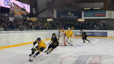 Absolut chancenlos waren die onesto Tigers Bayreuth heute gegen Tabellen-Schlusslicht Stuttgart Rebels. (Foto: sd)